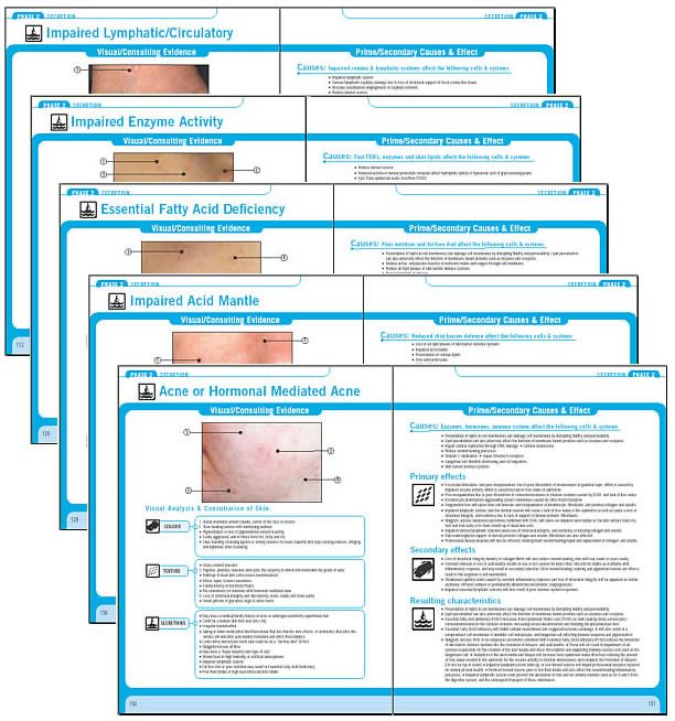 Learn More: Advanced Skin Analysis - Virtual Beauty