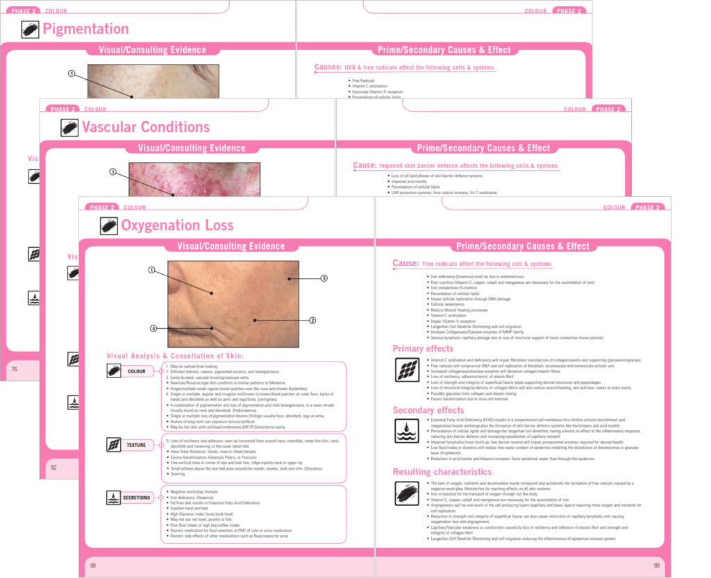 Learn More: Advanced Skin Analysis - Virtual Beauty Corporation